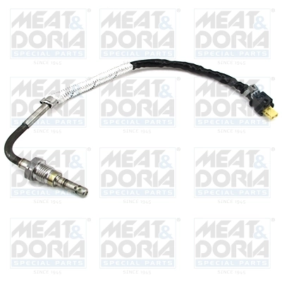 Sensor, exhaust gas temperature